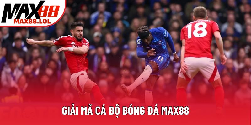 Giải mã cá độ bóng đá Max88