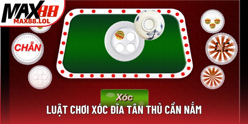 Luật chơi xóc đĩa tân thủ cần nắm